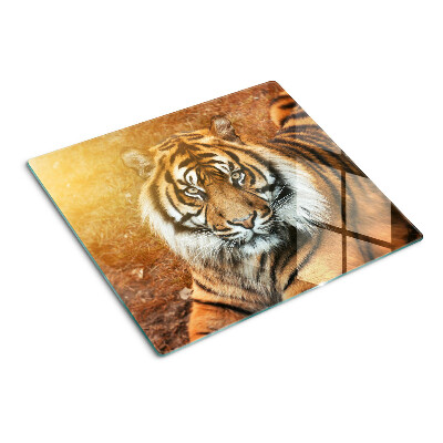 Staklena daska za rezanje Tigar na suncu