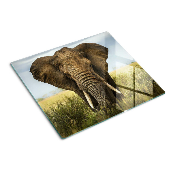 Velika daska za rezanje Slon na pozadini afričke savane