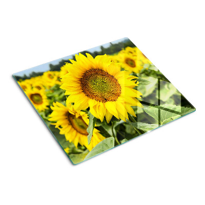 Staklena daska za rezanje Suncokreti na zelenoj pozadini
