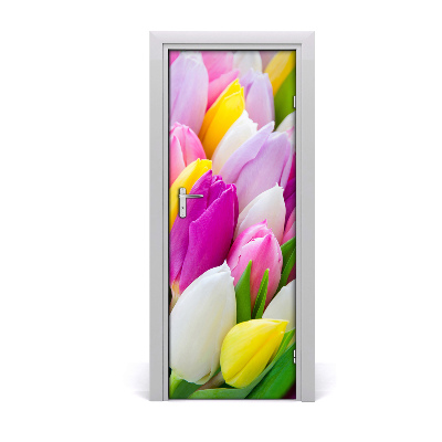 Foto tapeta za vrata Šareni tulipani