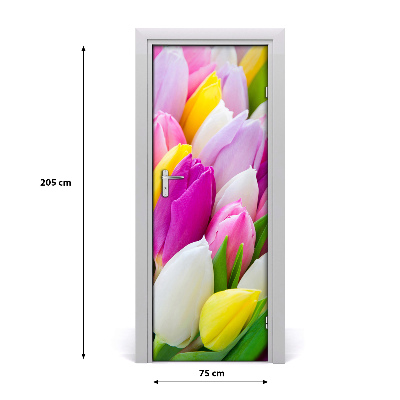 Foto tapeta za vrata Šareni tulipani