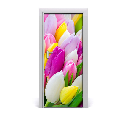Foto tapeta za vrata Šareni tulipani