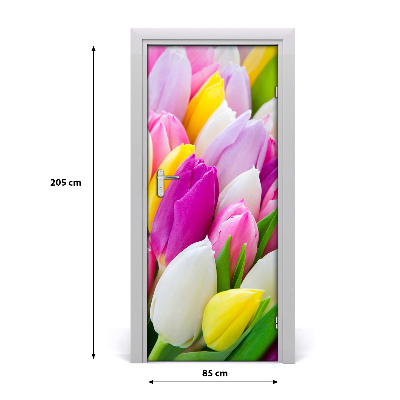 Foto tapeta za vrata Šareni tulipani