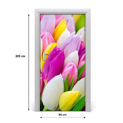 Foto tapeta za vrata Šareni tulipani