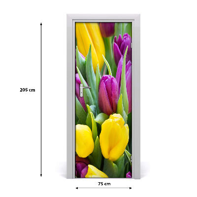 Folija za vrata Šareni tulipani