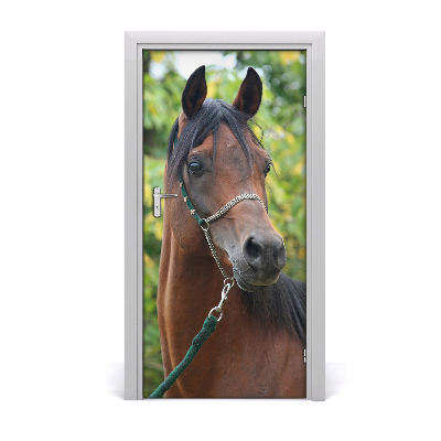 Folija za vrata Portret konja