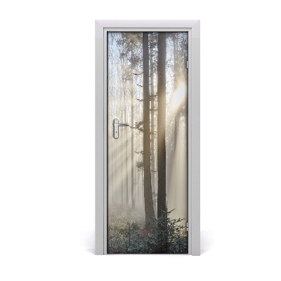 Samoljepljiva tapeta za vrata Magla u šumi