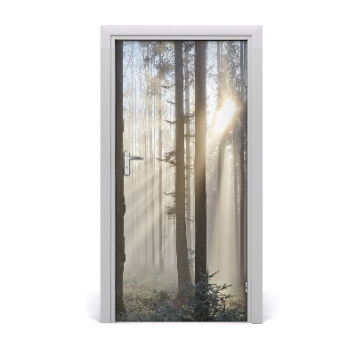 Samoljepljiva tapeta za vrata Magla u šumi
