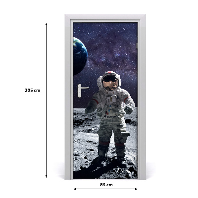 Foto tapeta za vrata Astronaut