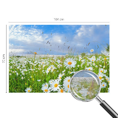 Flis fototapeta Ljetna livada