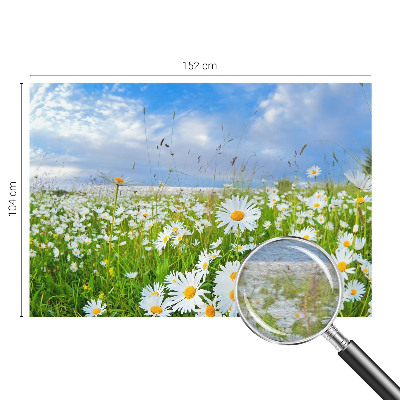 Flis fototapeta Ljetna livada