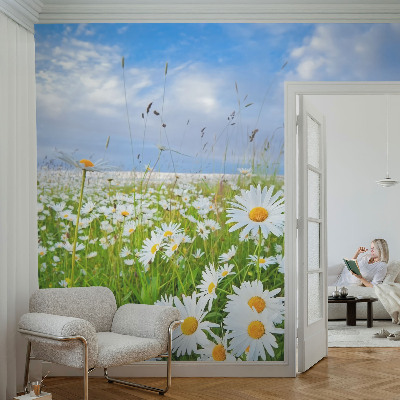 Flis fototapeta Ljetna livada