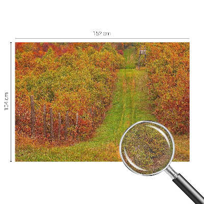 Vlies fototapeta u jesenskim bojama