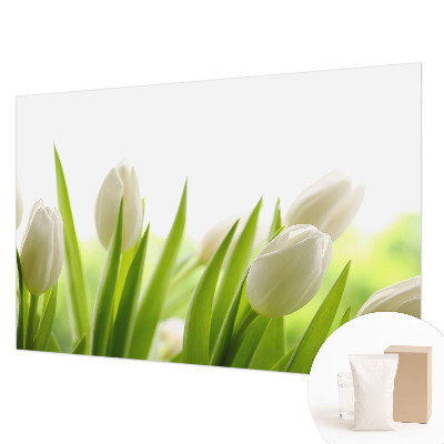Foto tapeta po mjeri s motivom bijelih tulipana