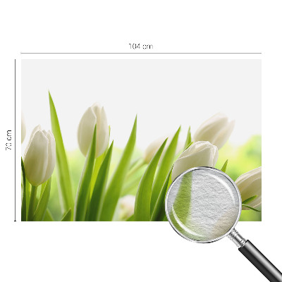 Foto tapeta po mjeri s motivom bijelih tulipana