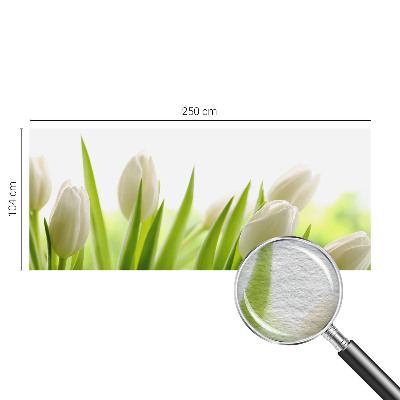 Foto tapeta po mjeri s motivom bijelih tulipana