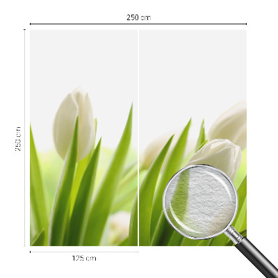 Foto tapeta po mjeri s motivom bijelih tulipana