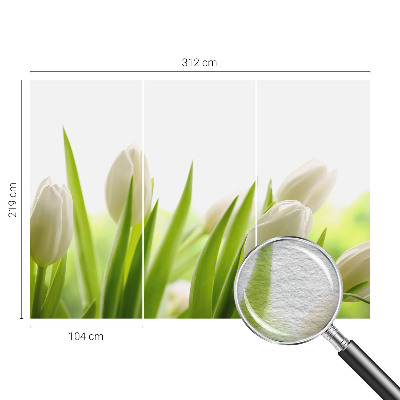 Foto tapeta po mjeri s motivom bijelih tulipana