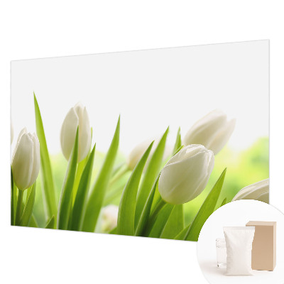 Foto tapeta po mjeri s motivom bijelih tulipana