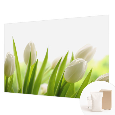 Foto tapeta po mjeri s motivom bijelih tulipana