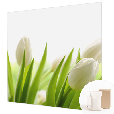 Foto tapeta po mjeri s motivom bijelih tulipana
