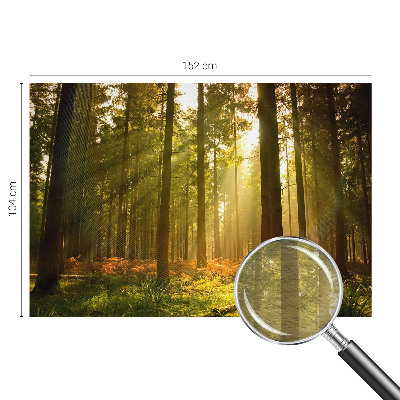 Fototapeta po mjeri s motivom šumskog jutra po vašim mjerama