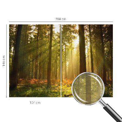 Fototapeta po mjeri s motivom šumskog jutra po vašim mjerama
