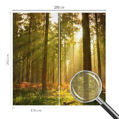 Fototapeta po mjeri s motivom šumskog jutra po vašim mjerama