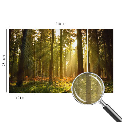 Fototapeta po mjeri s motivom šumskog jutra po vašim mjerama