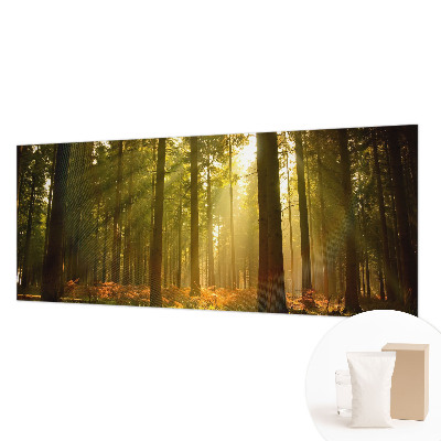 Fototapeta po mjeri s motivom šumskog jutra po vašim mjerama