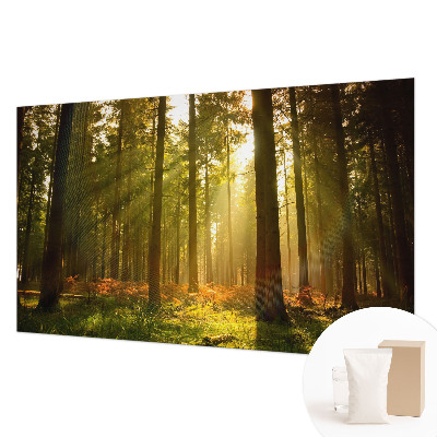 Fototapeta po mjeri s motivom šumskog jutra po vašim mjerama