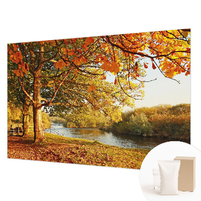 Zidna fototapeta s motivom obalne jeseni