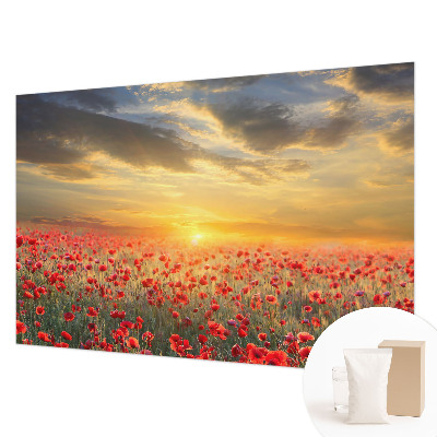 Foto tapeta za spavaću sobu s motivom polja maka