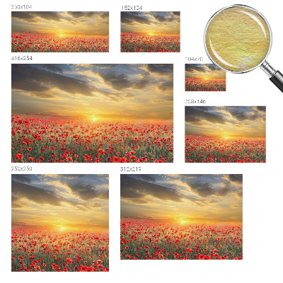 Foto tapeta za spavaću sobu s motivom polja maka