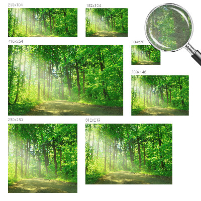 Vlies fototapeta za dječju sobu s motivom šumske staze