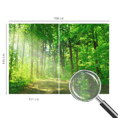 Vlies fototapeta za dječju sobu s motivom šumske staze