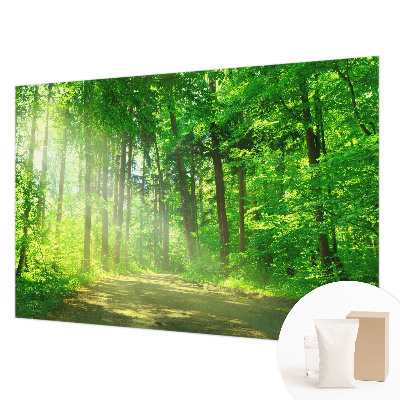 Vlies fototapeta za dječju sobu s motivom šumske staze