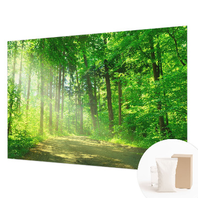 Vlies fototapeta za dječju sobu s motivom šumske staze
