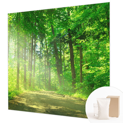 Vlies fototapeta za dječju sobu s motivom šumske staze
