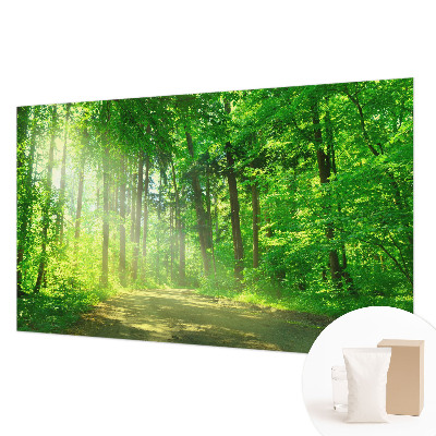 Vlies fototapeta za dječju sobu s motivom šumske staze