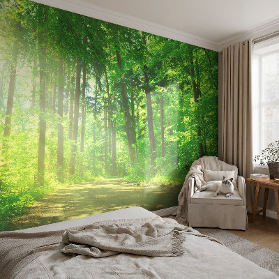 Vlies fototapeta za dječju sobu s motivom šumske staze