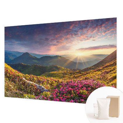 Moderna fototapeta s prikazom planinske panorame