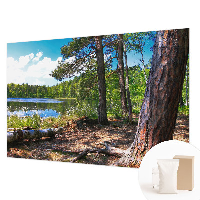 Vlies fototapeta s motivom šumskog krajolika
