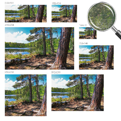 Vlies fototapeta Šumski krajolik