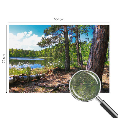 Vlies fototapeta Šumski krajolik