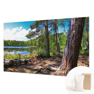 Vlies fototapeta Šumski krajolik