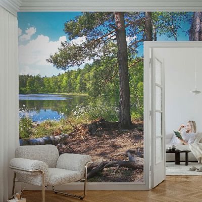 Vlies fototapeta Šumski krajolik