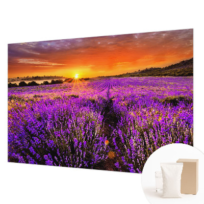 Foto tapeta za zid s motivom zalaska sunca nad poljem lavande