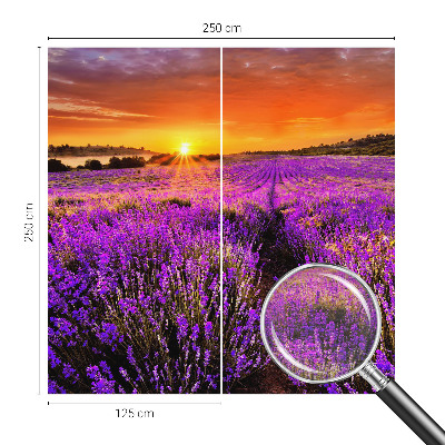 Foto tapeta za zid s motivom zalaska sunca nad poljem lavande