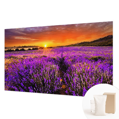 Foto tapeta za zid s motivom zalaska sunca nad poljem lavande